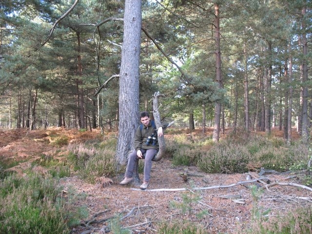 2007 10 Bois de Rochefort 12